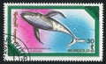 Whale Megaptera novaeangliae