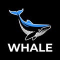 whale modern flat minimalist logo