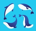 Whale - modern vector set of flat illustrations.