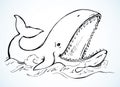 Whale with open mouth. Vector drawing Royalty Free Stock Photo