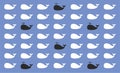 Whale pattern background