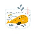 Whale in pocket. Cute cartoon whale, fish, corals, seaweeds. Underwater life picture book concept illustration. Whale