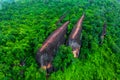 3 Whale Rock. Aerial view of Three whale stones in Phu Sing National, Bueng Kan, Thailand