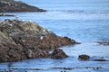 Whale Rocks in the Strait of Juan de Fuca