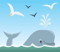 Whale and Seagulls Royalty Free Stock Photo