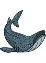 Whale Shark Cartoon Colored Clipart Illustration Royalty Free Stock Photo