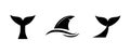 Whale, shark, fish tale vector icon. Fin of the fish illustrattion. Royalty Free Stock Photo