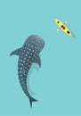 Whale shark and Kayak isolated on Blue sea background.