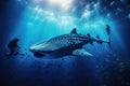 Whale shark Rhincodon typus in deep blue ocean, giant Whale shark swimming underwater with scuba divers, AI Generated