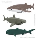 Whale Shark Set Cartoon Vector Illustration