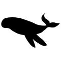 Whale Shark Silhouette Icon Isolated on White Background. Royalty Free Stock Photo