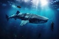 Whale shark swimming in the blue ocean. 3d illustration, giant Whale shark swimming underwater with scuba divers, AI Generated Royalty Free Stock Photo