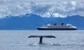 Alaska seascape Royalty Free Stock Photo