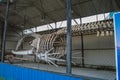 Whale skeleton exposed on the street behind the net. Sightseeing of Yakutsk.