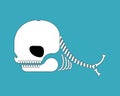 Whale skeleton isolated cartoon. skull silhouette underwater animal. vector illustration Royalty Free Stock Photo