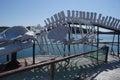 Whale skeleton, Newfoundland, Canada