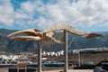 Whale skeleton on Tenerife, Canary Islands -