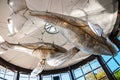 The whale skeleton in white plastic cover is hanging as a decoration at Darling Harbour, Sydney, Australia.