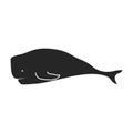 Whale sperm vector icon.Black vector icon isolated on white background whale sperm. Royalty Free Stock Photo