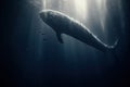 Whale swimming in the deep blue ocean with sun rays, underwater, Sperm whale next to a Freediver, AI Generated Royalty Free Stock Photo