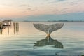 The whale tail in Faaborg and the harbour bath reflecting in the water Royalty Free Stock Photo