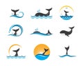 whale tail icon vector illustration design
