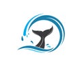 whale tail icon vector illustration design