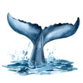 Whale tail in the ocean, splashing water, whale on isolated white background, watercolor illustration Royalty Free Stock Photo