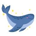 whale undersea life