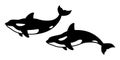 Whale vector dolphin shark icon killer whale character illustration