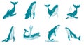 Whale Vector Illustrations Set - Marine Life Poses Collection Royalty Free Stock Photo