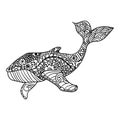 Whale, Vector zentangle print, adult coloring page. Hand drawn artistically, ornamental patterned Whale illustration