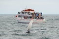 Whale Watching Boat on the sea, Massachusetts Royalty Free Stock Photo