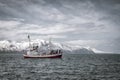 Whale watching boat in springtime Iceland. People are scouting for humpback whales Royalty Free Stock Photo