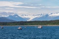 Whale Watching Boats