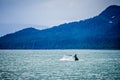 Whale watching on favorite channel alaska Royalty Free Stock Photo