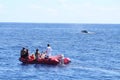Whale watching from an inflatable boat