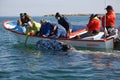 Whale watching San Ignacio Lagoon Baja California