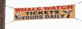 Whale watching tickets tours daily vinyl banner sign Royalty Free Stock Photo