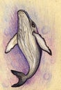 Whale watercolor pencils illustration. Spirit animal, wisdom holder, history keeper
