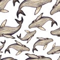 Whale watercolor pencils seamless pattern. Hand drawn painting, isolated, white background. Royalty Free Stock Photo