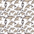 Whale watercolor pencils seamless pattern. Hand drawn painting, isolated, white background. Royalty Free Stock Photo