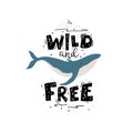 Whale: wild and free. Vector illustration with a lettering in simple cartoon hand-drawn style on a white background. A Royalty Free Stock Photo