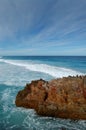 Whalebone Beach