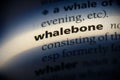 Whalebone