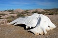 Whalebones on the bay of San Ignacio Lagoon, Baja California, Mexico Royalty Free Stock Photo