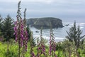 The Whalehead Island, Oregon