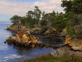 Whalers Cove Point Lobos Park Royalty Free Stock Photo