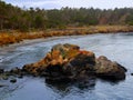 Whalers Cove Point Lobos Park Royalty Free Stock Photo