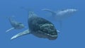 Whales in the deep blue sea